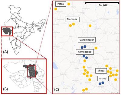 Where Rabies Is Not a Disease. Bridging Healthworlds to Improve Mutual Understanding and Prevention of Rabies